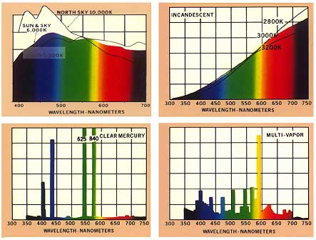 Spectra of various light sources